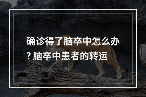 确诊得了脑卒中怎么办? 脑卒中患者的转运