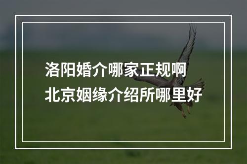 洛阳婚介哪家正规啊 北京姻缘介绍所哪里好
