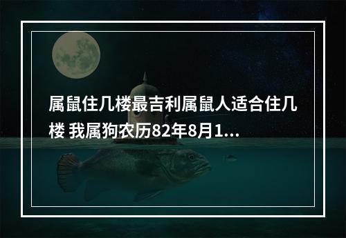 属鼠住几楼最吉利属鼠人适合住几楼 我属狗农历82年8月18生的买房几楼最好风水