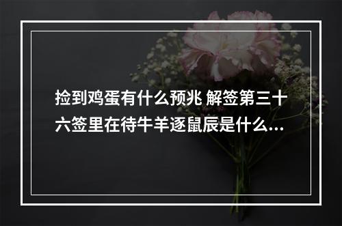 捡到鸡蛋有什么预兆 解签第三十六签里在待牛羊逐鼠辰是什么意思