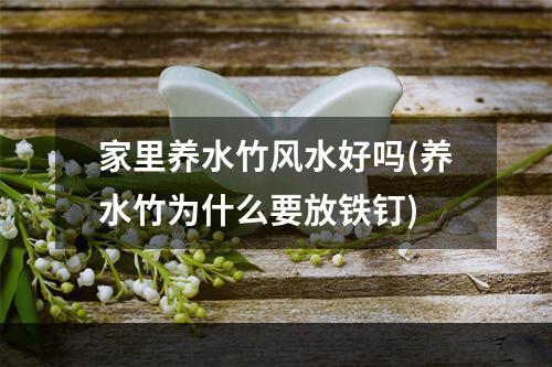 家里养水竹风水好吗(养水竹为什么要放铁钉)