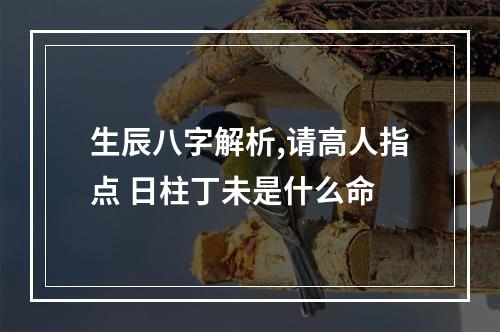 生辰八字解析,请高人指点 日柱丁未是什么命