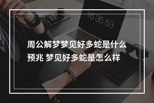 周公解梦梦见好多蛇是什么预兆 梦见好多蛇是怎么样