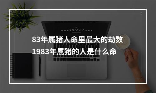 83年属猪人命里最大的劫数 1983年属猪的人是什么命