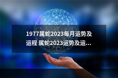 1977属蛇2023每月运势及运程 属蛇2023运势及运程详解