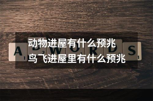 动物进屋有什么预兆 鸟飞进屋里有什么预兆