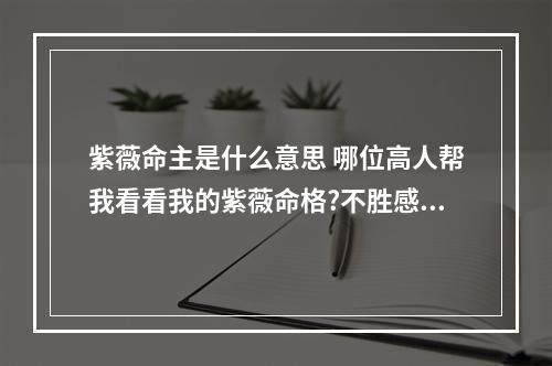 紫薇命主是什么意思 哪位高人帮我看看我的紫薇命格?不胜感激