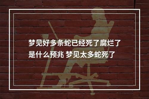 梦见好多条蛇已经死了腐烂了是什么预兆 梦见太多蛇死了