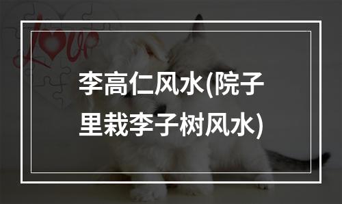 李高仁风水(院子里栽李子树风水)