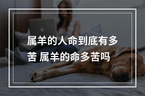 属羊的人命到底有多苦 属羊的命多苦吗