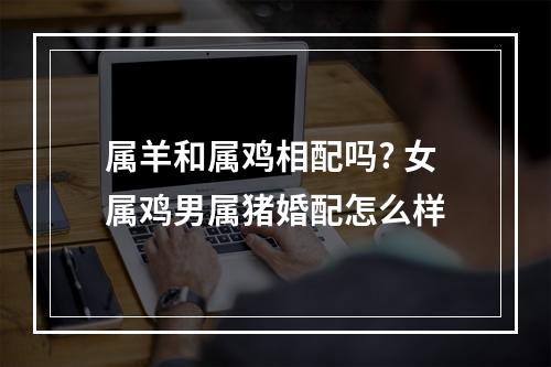 属羊和属鸡相配吗? 女属鸡男属猪婚配怎么样