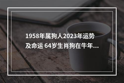 1958年属狗人2023年运势及命运 64岁生肖狗在牛年每月运程如何 属狗的人遇到牛年运气怎么样