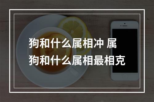 狗和什么属相冲 属狗和什么属相最相克