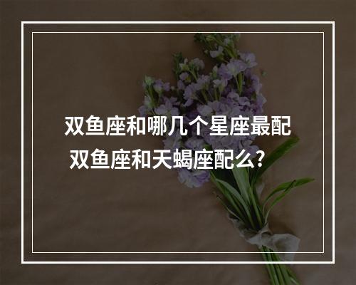 双鱼座和哪几个星座最配 双鱼座和天蝎座配么?