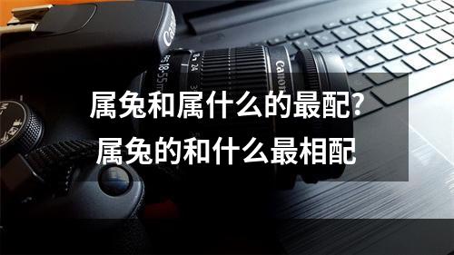 属兔和属什么的最配? 属兔的和什么最相配