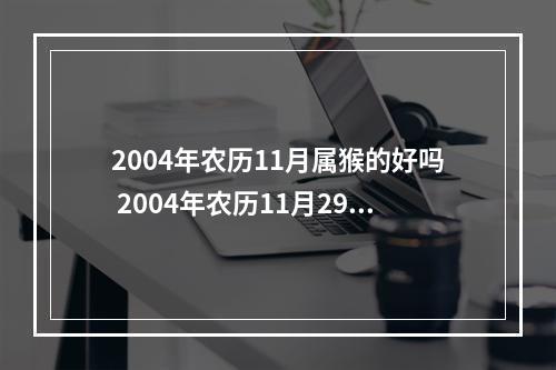 2004年农历11月属猴的好吗 2004年农历11月29属猴的运势怎么样