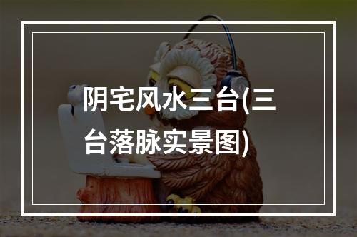 阴宅风水三台(三台落脉实景图)