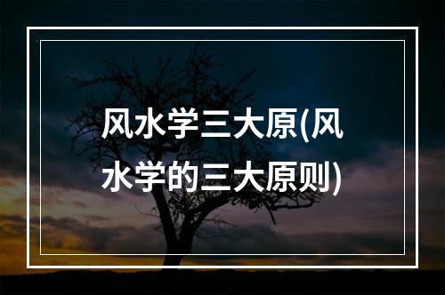 风水学三大原(风水学的三大原则)