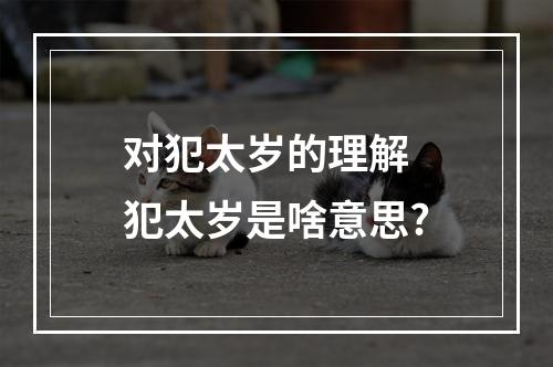 对犯太岁的理解 犯太岁是啥意思?