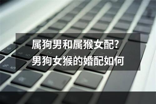 属狗男和属猴女配? 男狗女猴的婚配如何