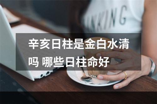 辛亥日柱是金白水清吗 哪些日柱命好