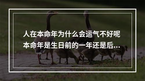 人在本命年为什么会运气不好呢 本命年是生日前的一年还是后面一年