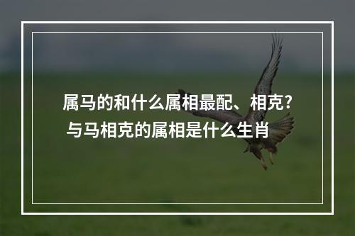 属马的和什么属相最配、相克? 与马相克的属相是什么生肖