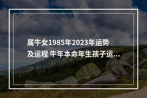 属牛女1985年2023年运势及运程 牛年本命年生孩子运势2023运势详解女