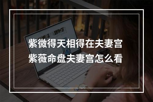 紫微得天相得在夫妻宫 紫薇命盘夫妻宫怎么看