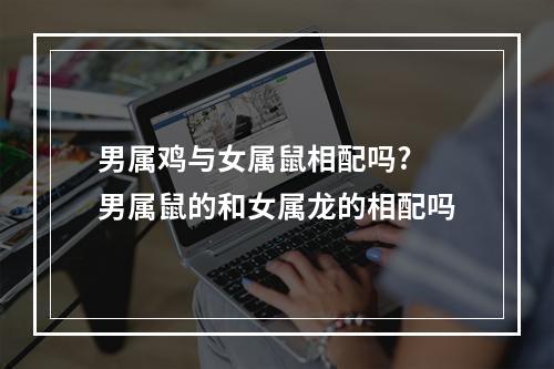 男属鸡与女属鼠相配吗? 男属鼠的和女属龙的相配吗