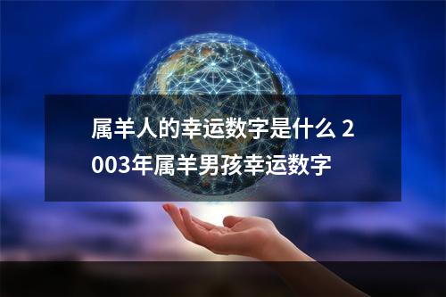属羊人的幸运数字是什么 2003年属羊男孩幸运数字