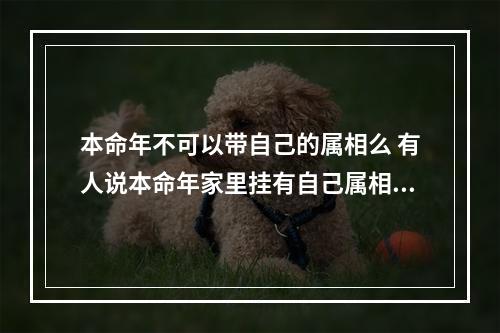 本命年不可以带自己的属相么 有人说本命年家里挂有自己属相的饰物会相冲 是真的吗?
