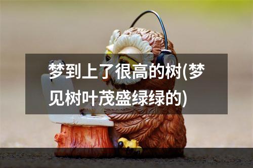 梦到上了很高的树(梦见树叶茂盛绿绿的)