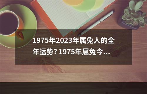1975年2023年属兔人的全年运势? 1975年属兔今天的运势
