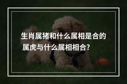 生肖属猪和什么属相是合的 属虎与什么属相相合?