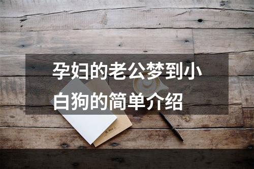 孕妇的老公梦到小白狗的简单介绍