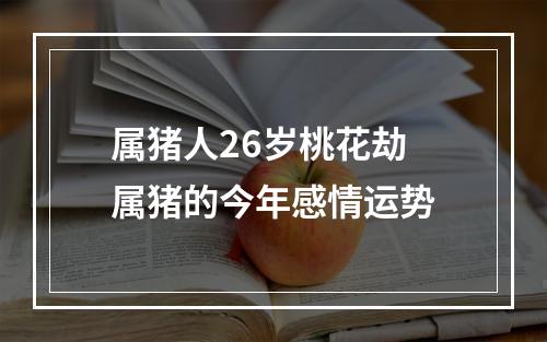 属猪人26岁桃花劫 属猪的今年感情运势