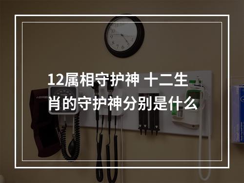 12属相守护神 十二生肖的守护神分别是什么