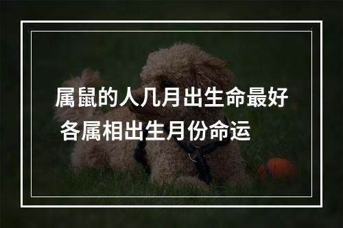 属鼠的人几月出生命最好 各属相出生月份命运