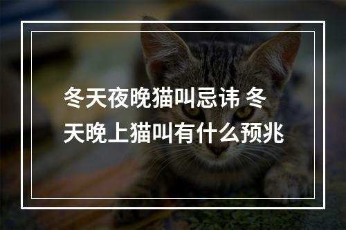 冬天夜晚猫叫忌讳 冬天晚上猫叫有什么预兆