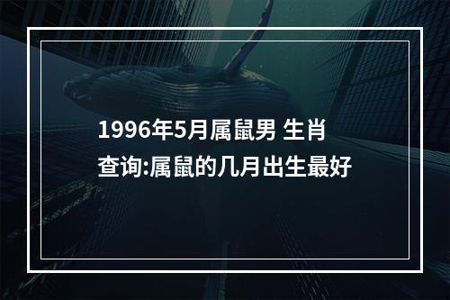 1996年5月属鼠男 生肖查询:属鼠的几月出生最好