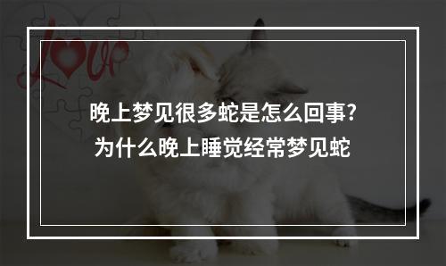 晚上梦见很多蛇是怎么回事? 为什么晚上睡觉经常梦见蛇
