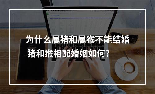 为什么属猪和属猴不能结婚 猪和猴相配婚姻如何?