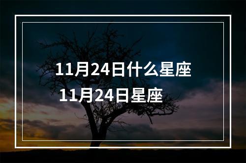 11月24日什么星座 11月24日星座