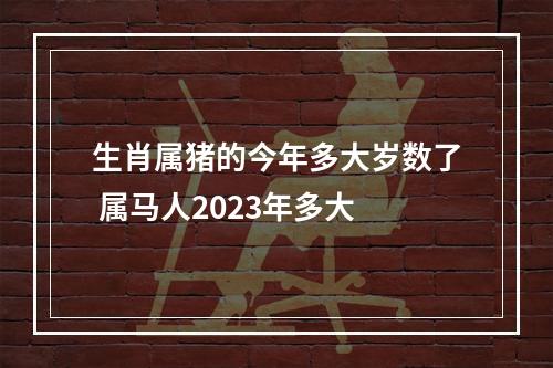 生肖属猪的今年多大岁数了 属马人2023年多大