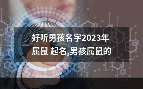 好听男孩名字2023年属鼠 起名,男孩属鼠的