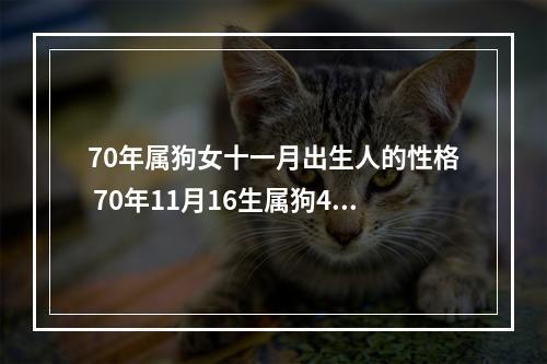 70年属狗女十一月出生人的性格 70年11月16生属狗45岁后运势