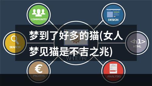 梦到了好多的猫(女人梦见猫是不吉之兆)