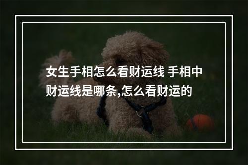 女生手相怎么看财运线 手相中财运线是哪条,怎么看财运的