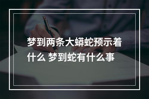 梦到两条大蟒蛇预示着什么 梦到蛇有什么事